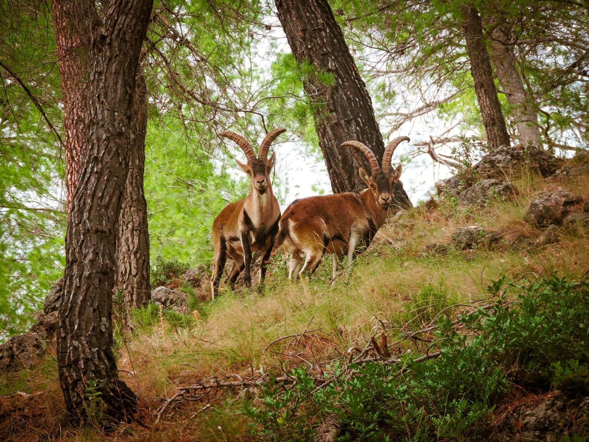 Casa Rural Los Parrales El Tranco Dış mekan fotoğraf